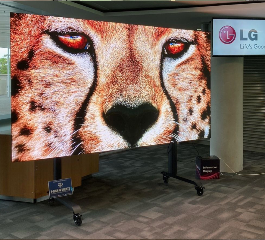 An image of a cheetah displayed on an LG dvLED screen mounted on a System X Trolley