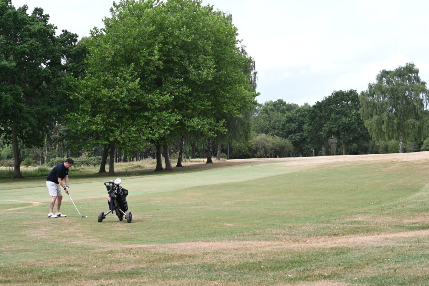 GOLF DAY 2026-35
