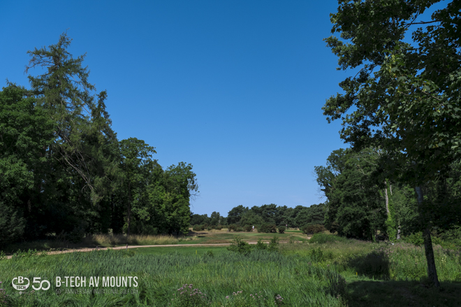 Golf Day B-Tech 2022 Gallery 16